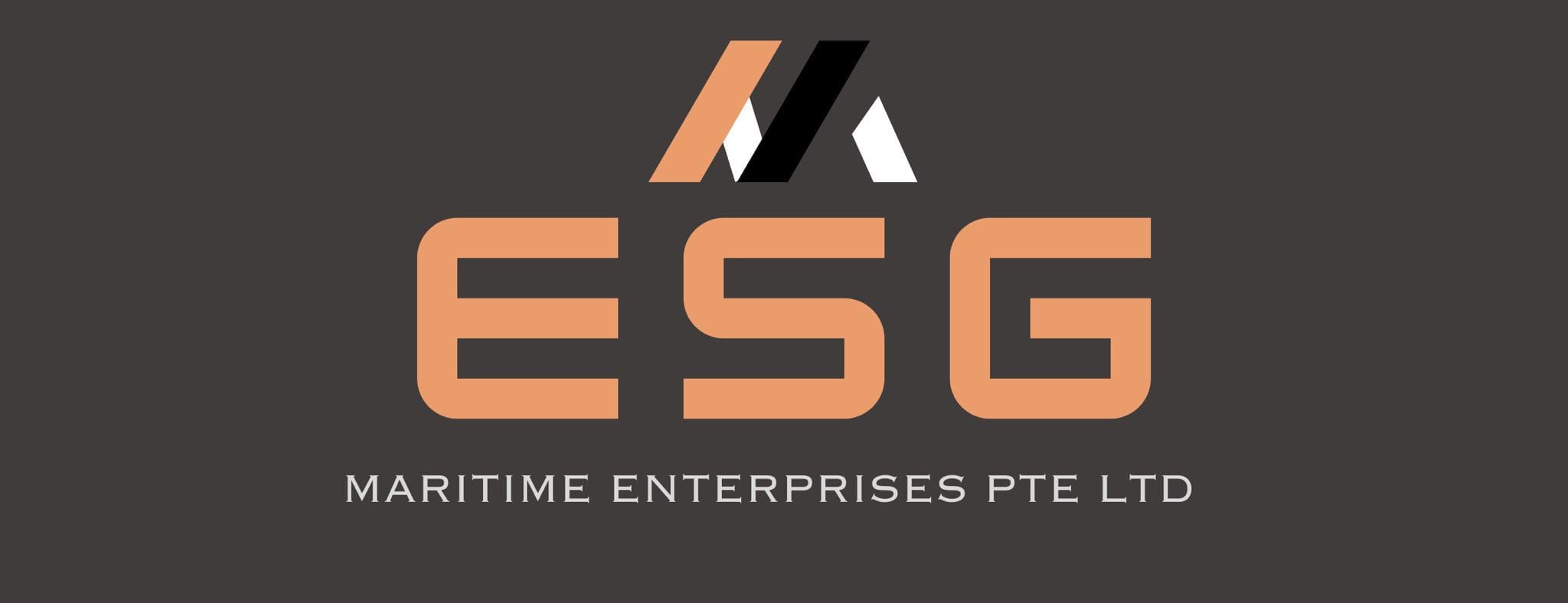 IMS Consultancy client