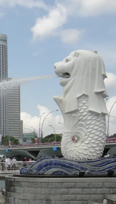 IMS Consultancy Singapore